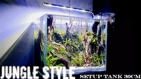 Step By Step Membuat Aquascape Jungle Style YouTube