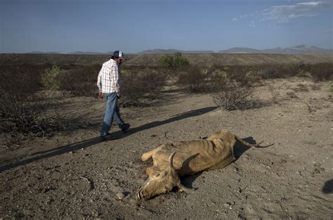 Sequía severa en México El norte del país se seca casi por completo