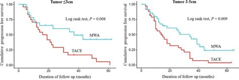 Subgroup Analysis Of The Progression Free Survival Of HCC Patients