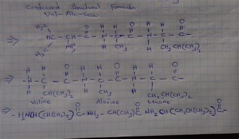 Solved Draw The Condensed Structural Formula Of Val Ala Leu Assume