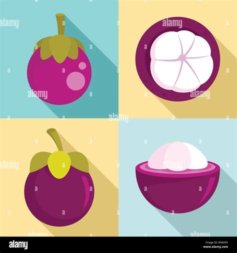 Mangosteen Icons Set Flat Set Of Mangosteen Vector Icons For Web