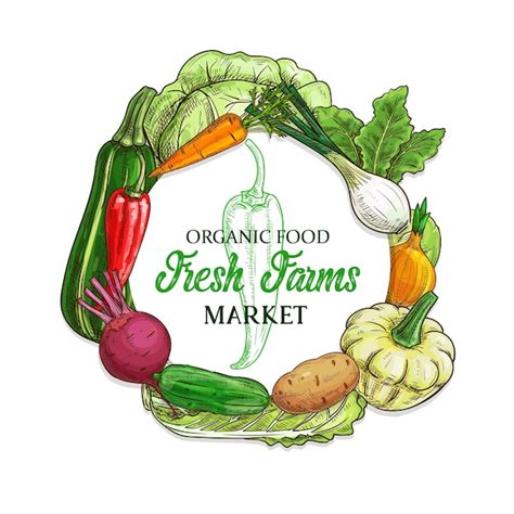 Premium Vector Farm Vegetables And Veggies Sketch Food