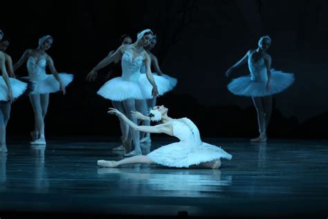 Il Lago Dei Cigni Balletto In Tre Atti Quattro Scene Libretto Di