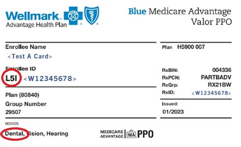 Medicare Advantage Plan Partners