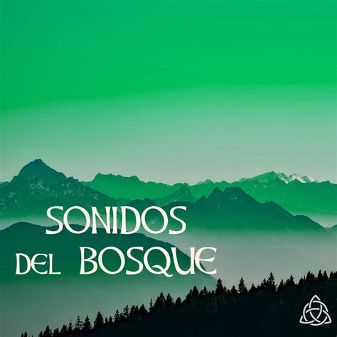 Sonidos Del Bosque Sonidos Naturales Relax Para Dormir Bien Y