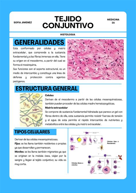 Tejido Conjuntivo Esta Conformado Por Células Y Matriz Extracelular Que Comprende A La