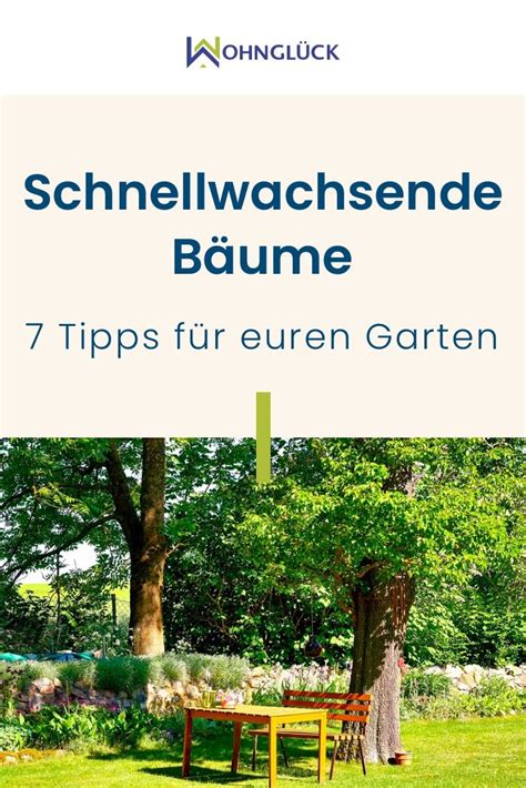 Schnell Wachsende Baeume Fuer Den Garten