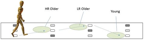 Frontiers Visuomotor Control Of Human Adaptive Locomotion