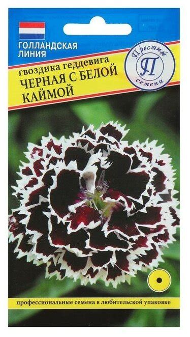 Цветы черные семена с белой полоской — купить по низкой цене на Яндекс ...