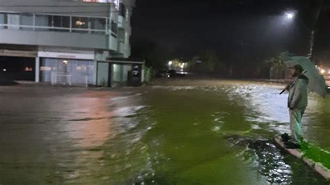 Tempestade queda de granizo danifica casas derruba árvores e