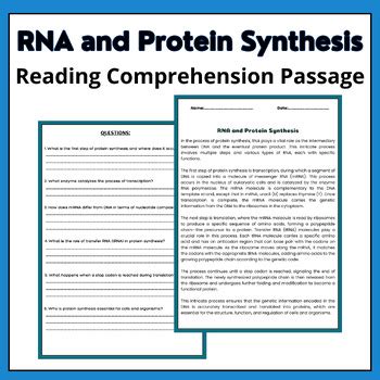 RNA And Protein Synthesis Reading Comprehension Passage With Questions