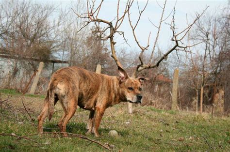 Показалось: 10+ сумасшедших фотографий, которые обескуражат вас!