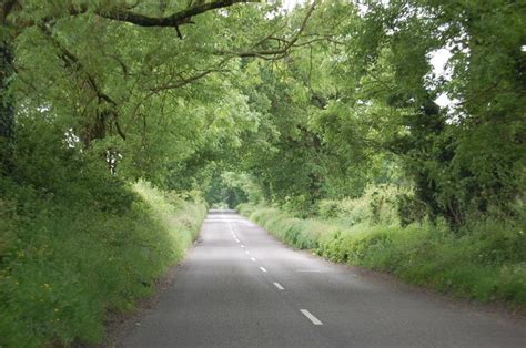 Pound Plantation Breckland Area Information Map Walks And More