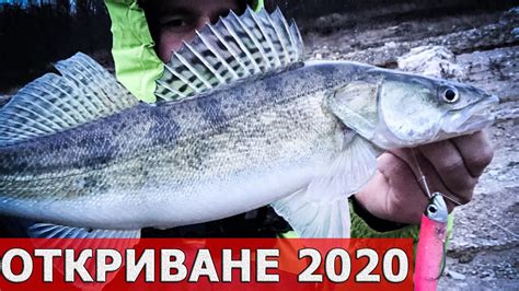 Брутален вятър. Риболов на язовир Жребчево и река Тунджа. Откриване за ...