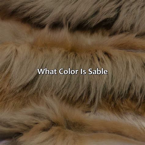 What Color Is Sable - Branding Mates