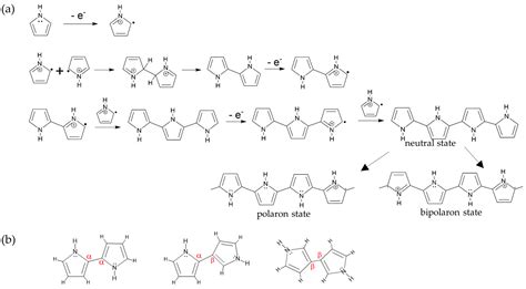 Molecules Free Full Text Exploring The Influence Of Morphology On