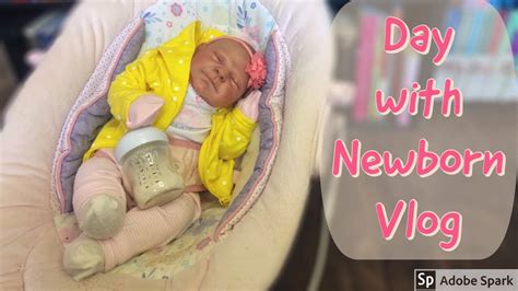 Newborn Baby Doll Vlog Reborn Baby Day In The Life After Work Routine