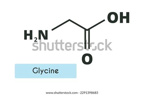 Glycine Molecule Structure Gly G Skeletal Stock Vector (Royalty Free) 2291398683 | Shutterstock