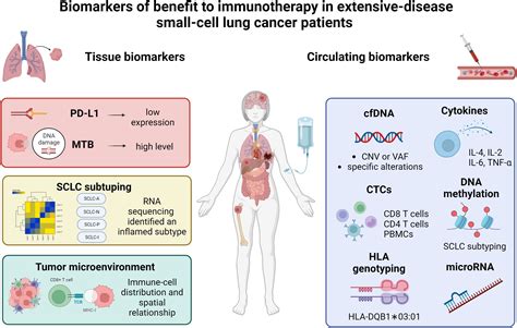 Frontiers Tissue And Circulating Biomarkers Of Benefit To