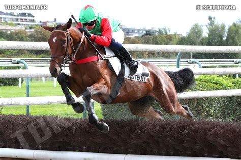 ROYALE MILADY HAS Cheval Retrouvez Toutes Les Performances De