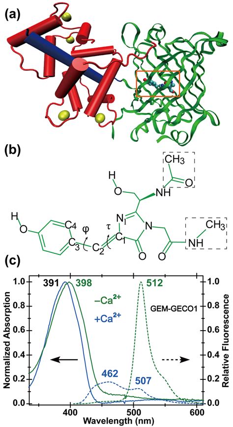 Illustrative Structure Of The GEM GECO1 Biosensor For Ca 2 Imaging And