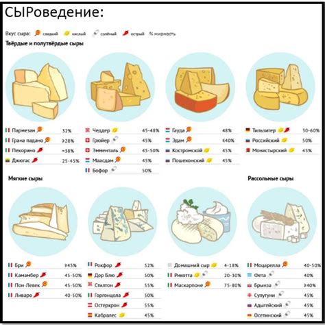 Parmezan Ru Адреса Магазинов — Zazakupkami.ru