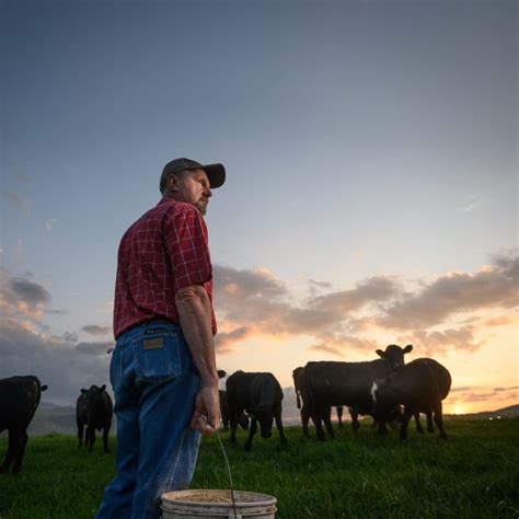 Free Bqa Certification Available Online Beef Checkoff