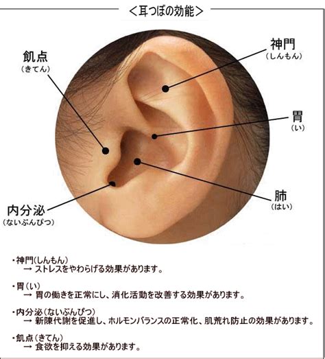 【耳つぼダイエット】q．ピアスをしていてもだいじょうぶですか？ 耳つぼダイエットでスリム体型に整体師の楽々ダイエットの秘訣