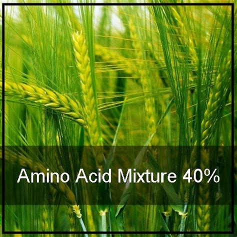 Amino Acid Mixture 40 Manufacturer And Supplier Peptech Biosciences Ltd