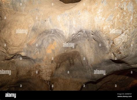 San Rock Art Of An Elephant In Cango Caves Oudtshoorn Western Cape