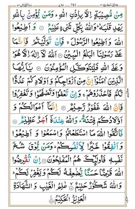 Surah At Taghabun Faiz E Islam