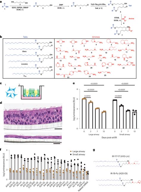 Synthesis and screening of a biodegradable lipid library a, Four-step ...