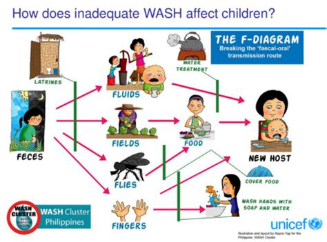 What Is Wash Water Sanitation And Hygiene Public Health Notes