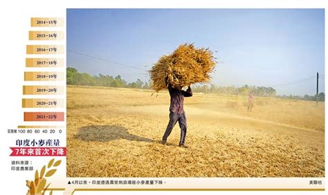 印度突禁小麦出口 加剧全球粮荒 每日头条