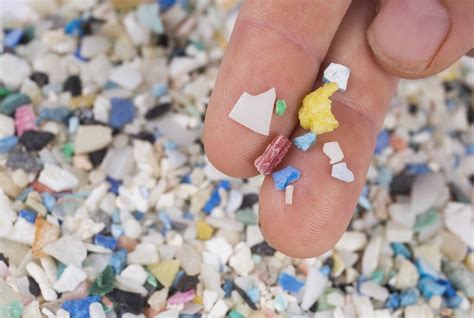 Sicurezza Nel Piatto Microplastiche Nei Cibi Cosa Sono Sono