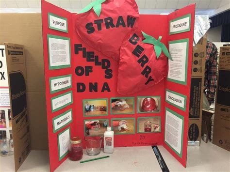 75 Fantastic Science Fair Project Ideas Momdot Science Fair