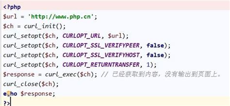 Curl Exec函数介绍与使用方法详解 悠悠之家