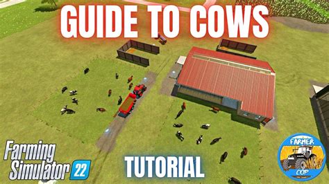 GUIDE TO COWS Farming Simulator 22 YouTube