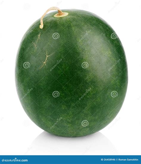 Dark Green Watermelon Berry Stock Photography | CartoonDealer.com #26458946