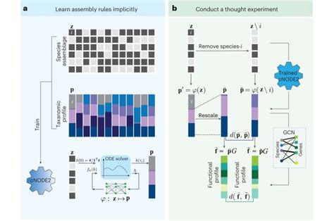 Study Proposes New Framework To Identify Keystone Microbial Species