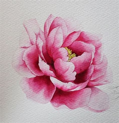 Pin By Marleen Meintjes On Art Painting Flowers Watercolor Flower