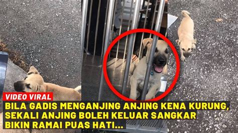 Bila Gadis Menganjing Anjing Kena Kurung Sekali Anjing Boleh Keluar