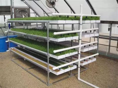 Hydroponics Net Pot Pvc Fodder Gutter Grass Tray Channel System For