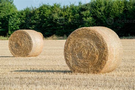 Haystacks on the field 9205332 Stock Photo at Vecteezy