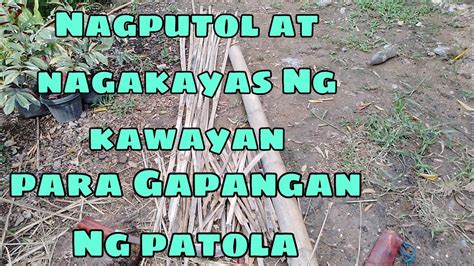 Nagputol At Nagakayas Ako Ng Kawayan Para Gapangan Ng Patola Analy S