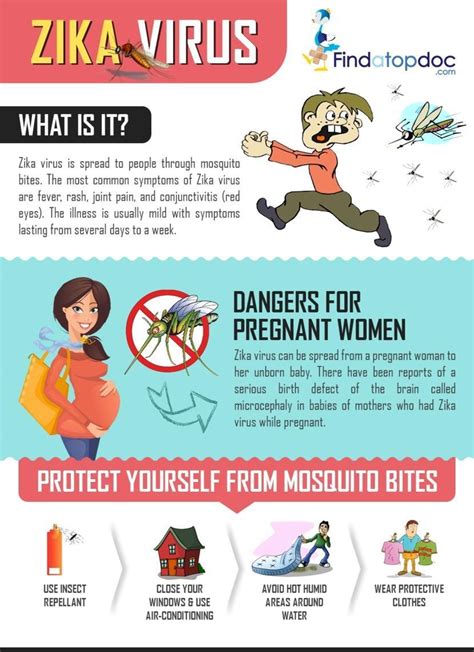 Everything You Need To Know About The Zika Virus