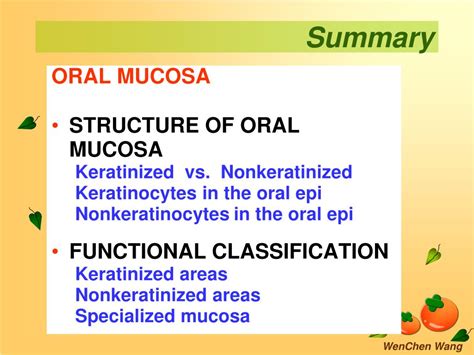 Ppt Oral Mucosa Powerpoint Presentation Free Download Id5775685