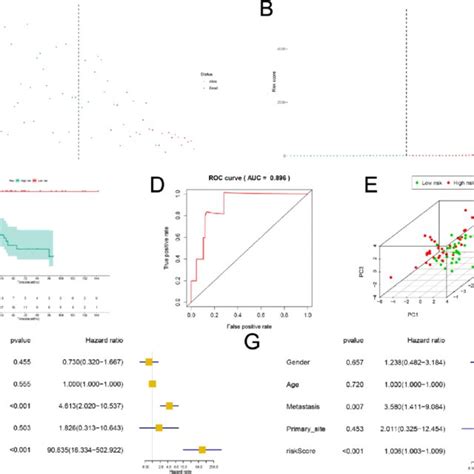 The Multivariate Cox Regression Analysis Of Prognosis Erna The Risk