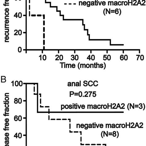 Association Of MacroH2A2 Loss With Anal Intraepithelial Neoplasia AIN