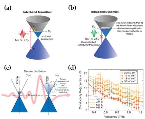 Nanomaterials Free Full Text Dynamic And Active Thz Graphene Metamaterial Devices